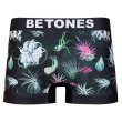 画像1: BETONES BOTANICAL BLACK