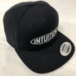 画像1: INTUITION CAP /ベースボールキャップ