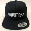 画像2: INTUITION CAP /ベースボールキャップ